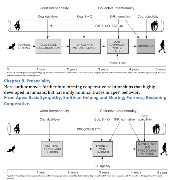 Screen Shot 2019-06-02 at 8.55.53 AM