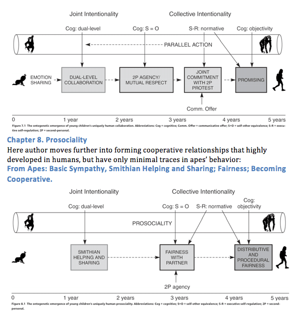 Screen Shot 2019-06-02 at 8.55.53 AM