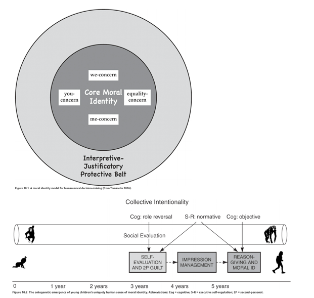 Screen Shot 2019-06-02 at 8.56.18 AM