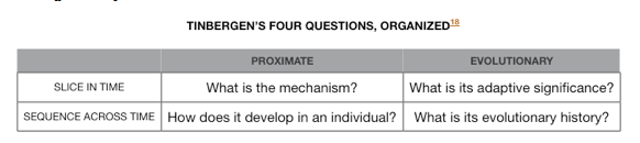 Screen Shot 2019-08-04 at 9.19.12 AM