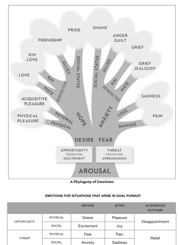 Screen Shot 2019-08-04 at 9.19.32 AM