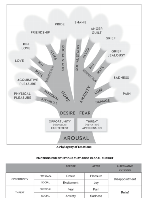 Screen Shot 2019-08-04 at 9.19.32 AM