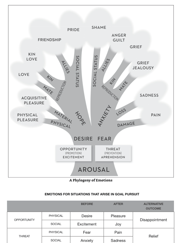 Screen Shot 2019-08-04 at 9.19.32 AM