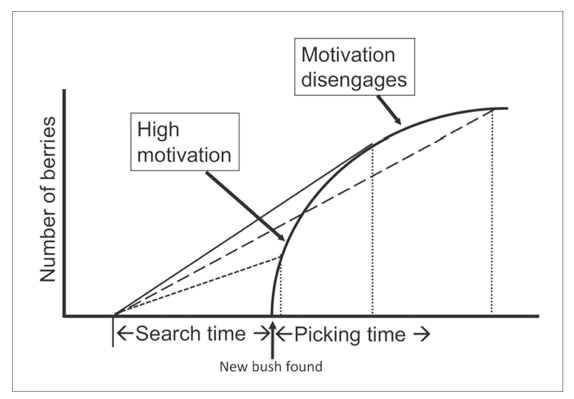 Screen Shot 2019-08-04 at 9.19.57 AM