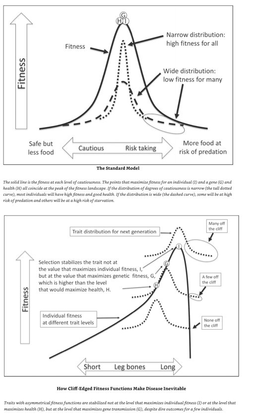 Screen Shot 2019-08-04 at 9.20.45 AM