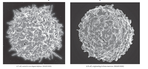 Screen Shot 2019-09-08 at 7.57.19 AM