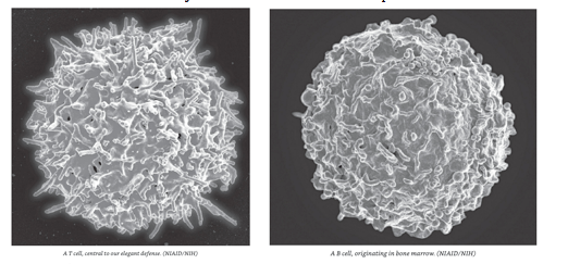 Screen Shot 2019-09-08 at 7.57.19 AM