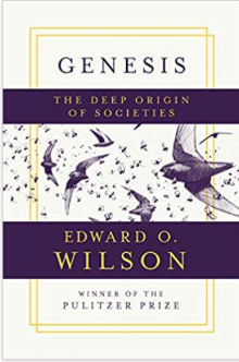 Screen Shot 2019-09-09 at 2.47.35 PM