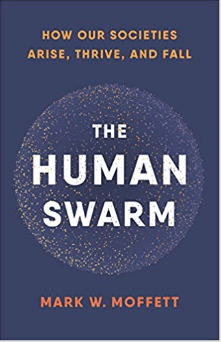 Screen Shot 2019-10-20 at 10.35.57 AM