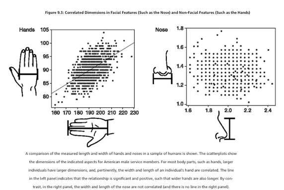 Screen Shot 2019-11-17 at 8.37.19 AM