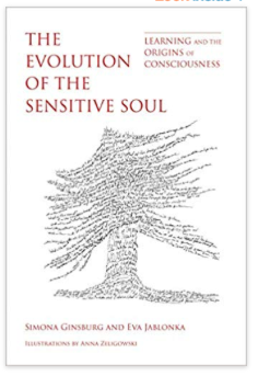 Screen Shot 2019-12-29 at 8.22.10 AM