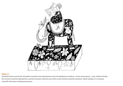 Screen Shot 2019-12-29 at 8.22.28 AM