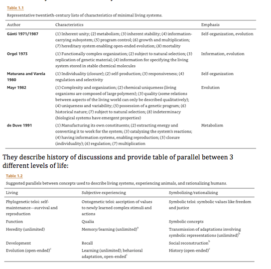 Screen Shot 2019-12-29 at 8.22.35 AM