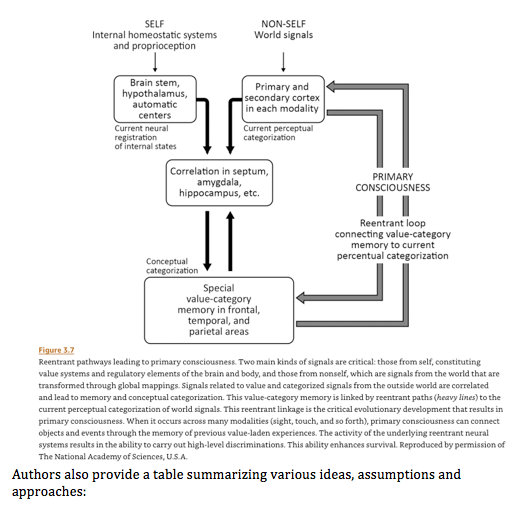 Screen Shot 2019-12-29 at 8.22.43 AM