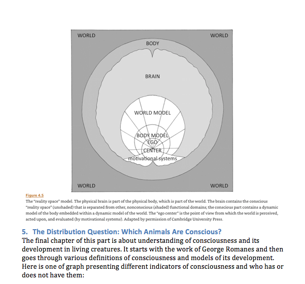 Screen Shot 2019-12-29 at 8.23.17 AM