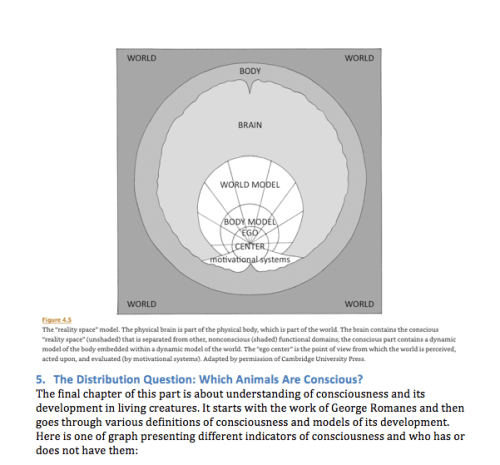 Screen Shot 2019-12-29 at 8.23.17 AM