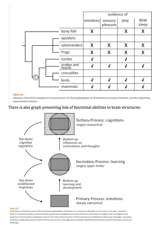 Screen Shot 2019-12-29 at 8.23.27 AM