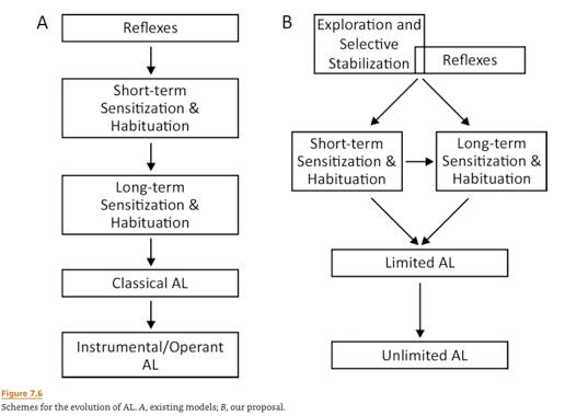 Screen Shot 2019-12-29 at 8.23.47 AM