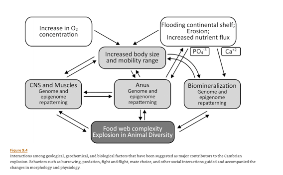 Screen Shot 2019-12-29 at 8.24.03 AM