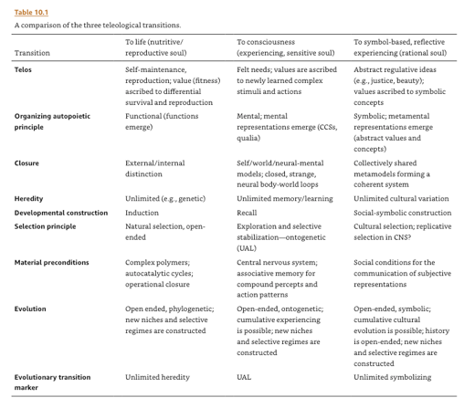 Screen Shot 2019-12-29 at 8.24.09 AM