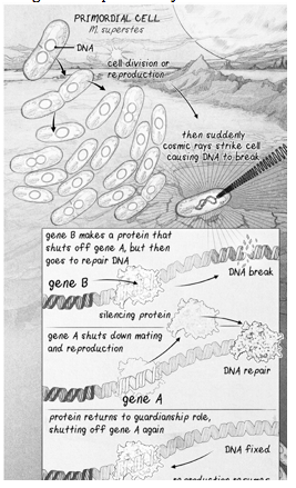 Screen Shot 2020-02-08 at 8.38.56 AM