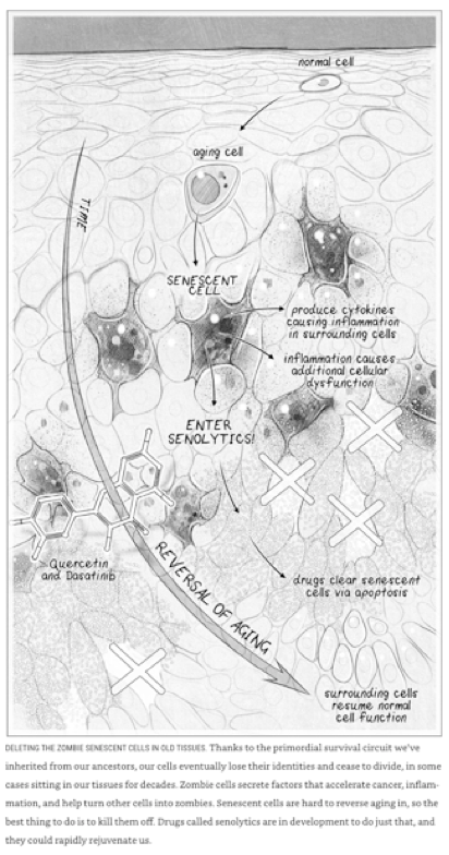 Screen Shot 2020-02-08 at 8.48.12 AM